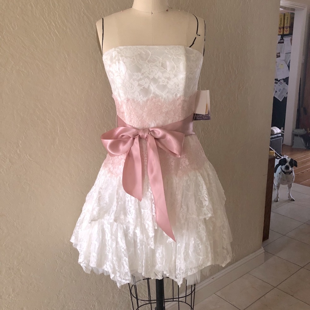 Pastel pink & white lace Jessica McClintock dress